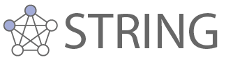STRING logo